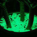 Pedras Fluorescentes™