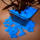 Pedras Fluorescentes™